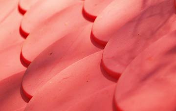 Finkle Green plastic roof costs