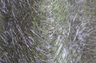 Finkle Green fibreglass roof work